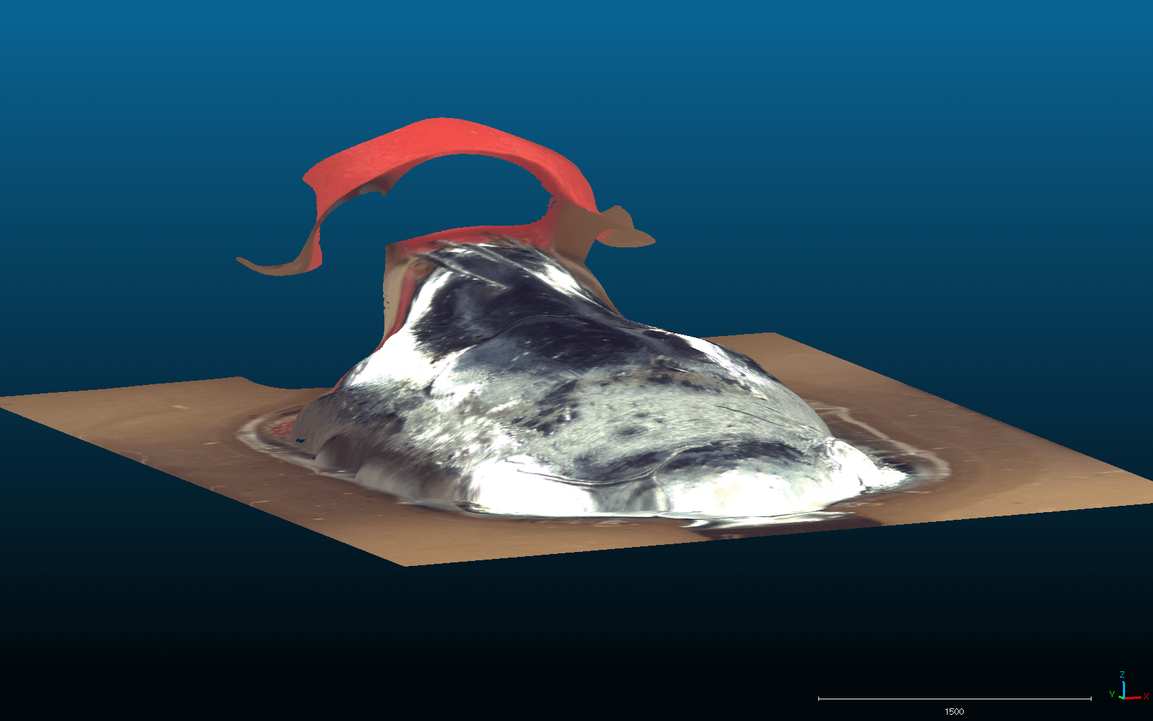 3Dモデルも生成可能